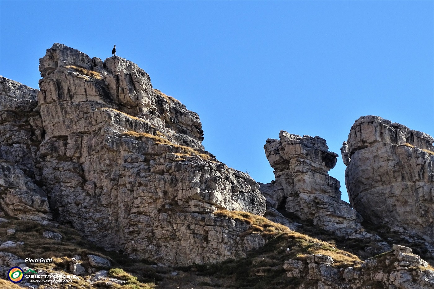 01 Camoscio di vedetta sui contrafforti rocciosi del Monte Arale.JPG